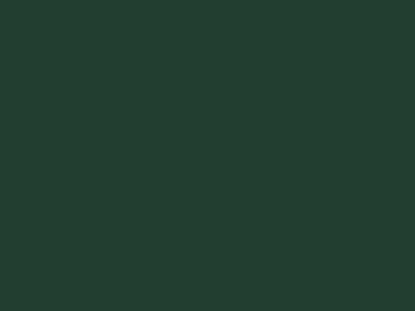 13 | zelená (RAL 6005)